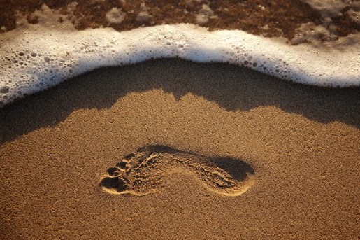 A pair of footprints in the sand

Description automatically generated with low confidence